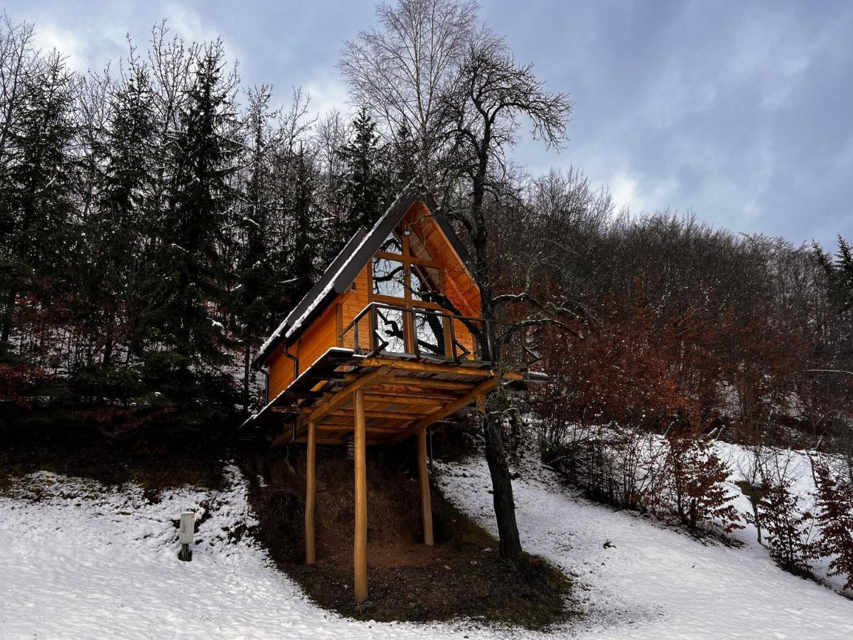 Tara Place - Camp Rabrenovic モイコヴァツ エクステリア 写真